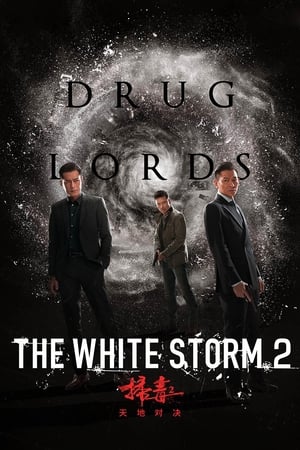 The White Storm 2: Drug Lords (2019) Hindi (Org) 480p HDRip 300MB